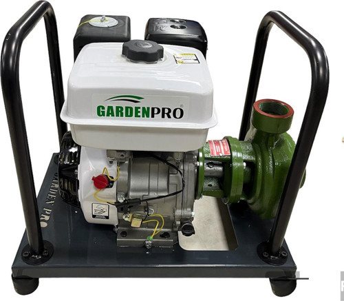 WP-20/165H Yüksek Basınçlı 3 Fanlı Su Motoru 165 mt 9 Hp