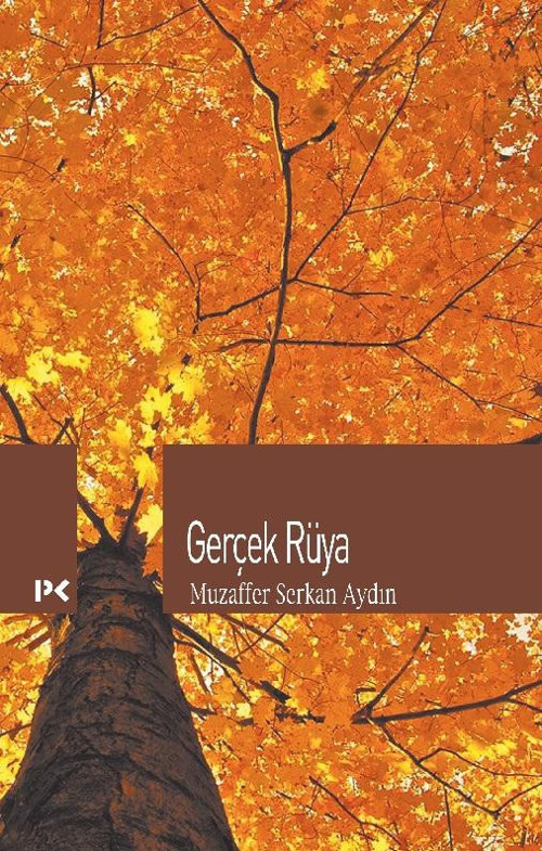 Profil Kitap Yayınevi Gerçek Rüya