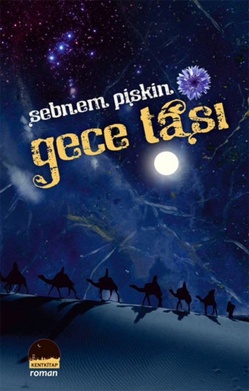 Kent Kitap Gece Taşı