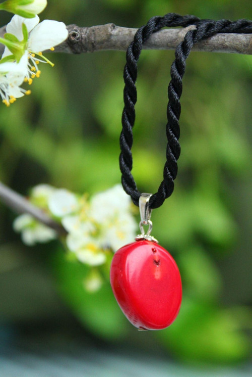 Jewellery Mercan Doğal Taş Kararlılık Bayan Kolye Kırmızı