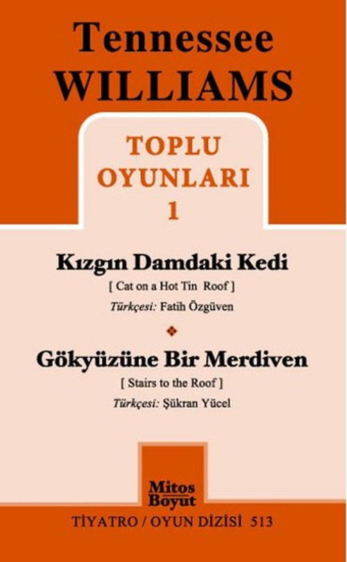 Mitos Boyut Yayınları Toplu Oyunları 1