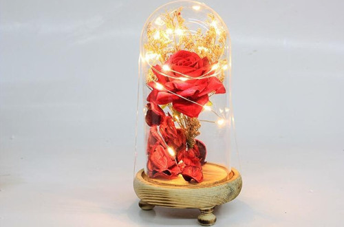 Fanus Gül 19/10cm Led Işıklı Cam Fanuslu Hediyelik