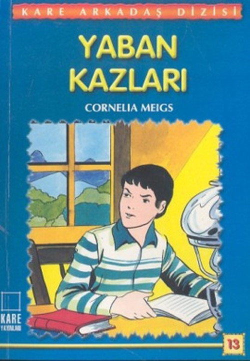 Kare Yayınları Yaban Kazları