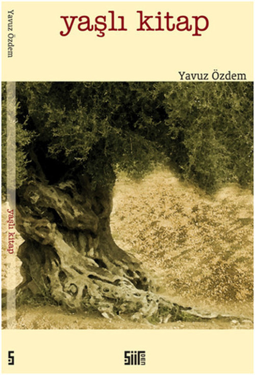 Şiirden Yayınları Yaşlı Kitap
