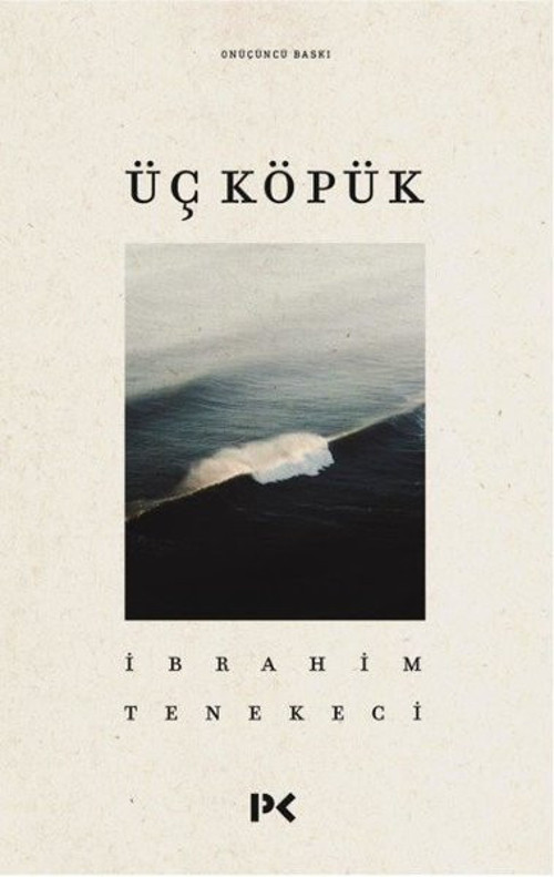 Profil Kitap Yayınevi Üç Köpük