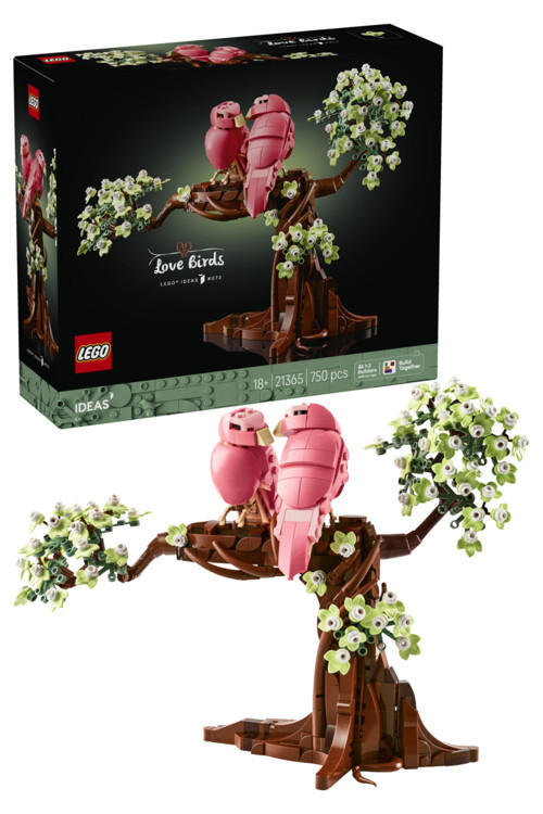 Ideas 21365 Muhabbet Kuşları