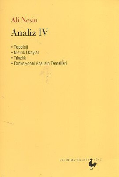 Nesin Matematik Köyü Analiz 4