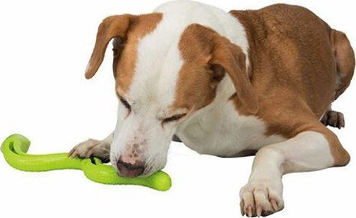 Köpek Ödül Oyuncağı Yeşil Yılan Tpr 42cm