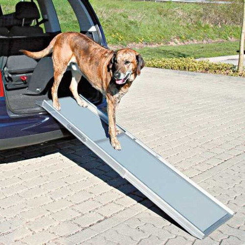 Köpek Rampası, Teleskopik, 43X100-180cm