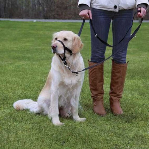 Uzman Köpek Eğitim Tasması 31cm L
