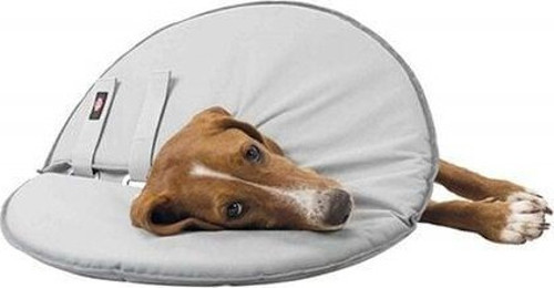 Köpek Yakalığı L:46-49cm 24cm Gri