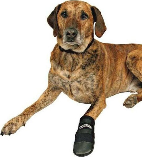 Köpek Patiği Neopren 2 Adet XXXL Siyah