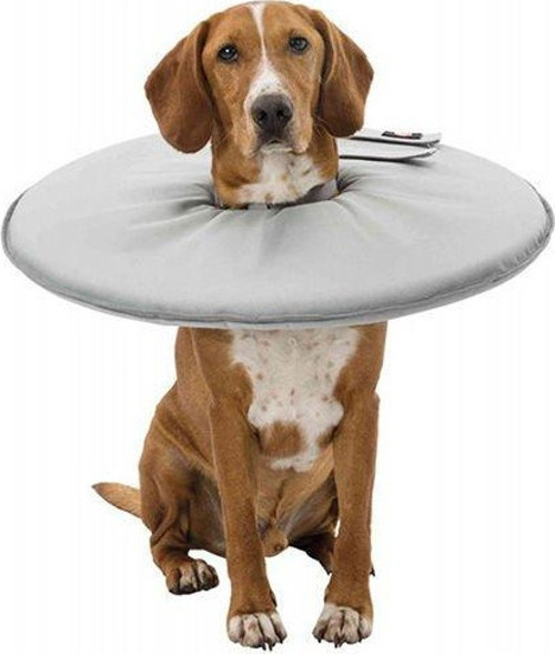 KöpekKedi Yakalığı XS:23-27cm13cm Gri