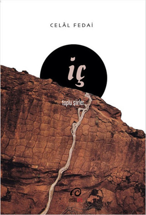 İNSANART İç