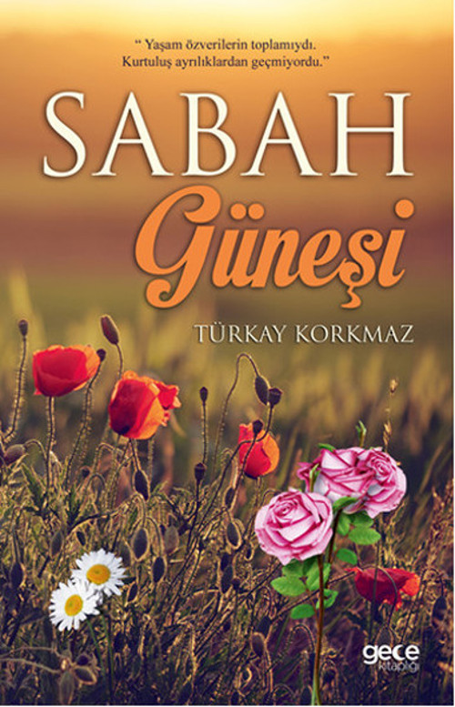 Gece Kitaplığı Sabah Güneşi