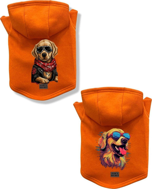Kedi Köpek Kıyafeti Sweatshirt Golden Model Turuncu Kombin 2'li Set XL