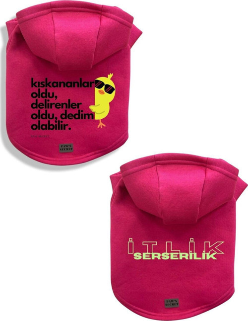 Kedi Köpek Kıyafeti Sweatshirt Kıskananlar Oldu - Serseri Pembe Kombin 2'li Set XL