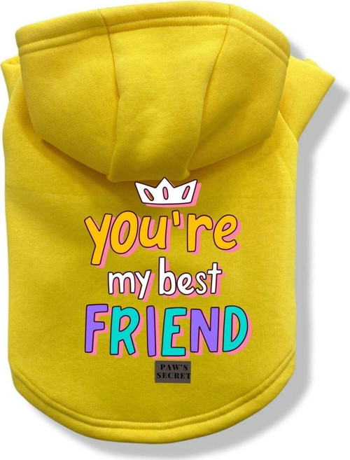 Köpek Kıyafeti Köpek Sweatshirt Hoodie Köpek Ürünleri Kedi Kıyafeti - You're My Best Friend S