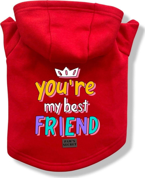 Köpek Kıyafeti Köpek Sweatshirt Hoodie Köpek Ürünleri Kedi Kıyafeti - You're My Best Friend L