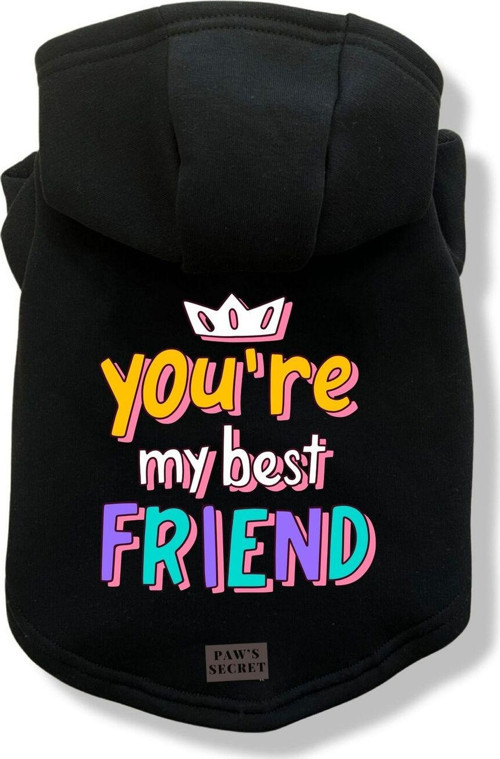 Köpek Kıyafeti Köpek Sweatshirt Hoodie Köpek Ürünleri Kedi Kıyafeti - You're My Best Friend XL