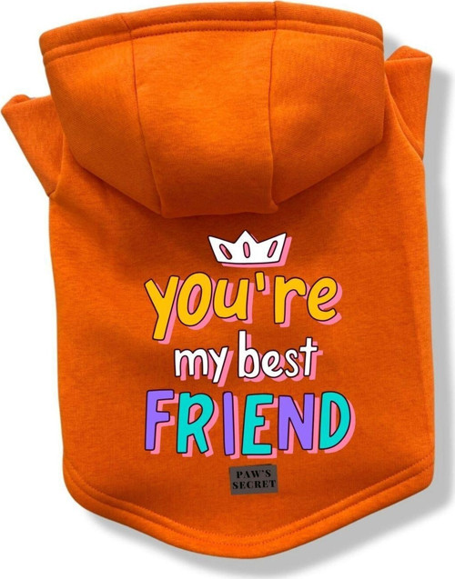 Köpek Kıyafeti Köpek Sweatshirt Hoodie Köpek Ürünleri Kedi Kıyafeti - You're My Best Friend XS