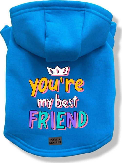 Köpek Kıyafeti Köpek Sweatshirt Hoodie Köpek Ürünleri Kedi Kıyafeti - You're My Best Friend L