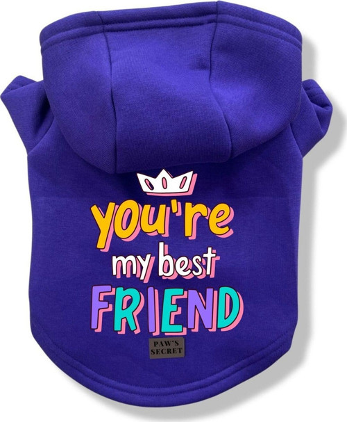 Köpek Kıyafeti Köpek Sweatshirt Hoodie Köpek Ürünleri Kedi Kıyafeti - You're My Best Friend XS