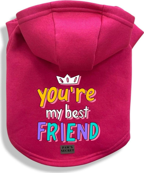Köpek Kıyafeti Köpek Sweatshirt Hoodie Köpek Ürünleri Kedi Kıyafeti - You're My Best Friend XS