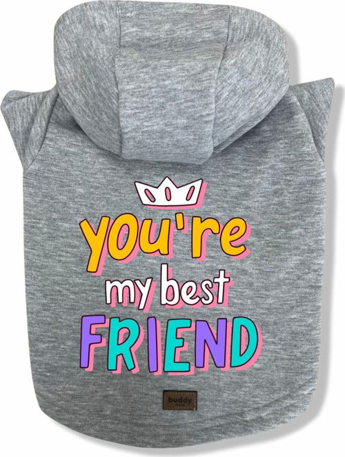 Köpek Kıyafeti Köpek Sweatshirt Hoodie Köpek Ürünleri Kedi Kıyafeti - You're My Best Friend XS