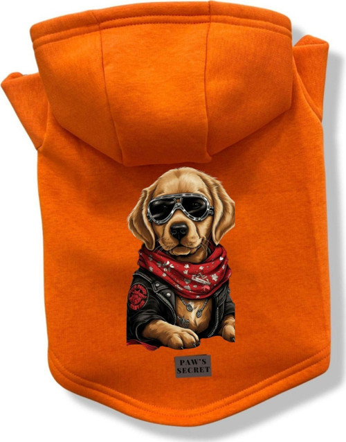 Köpek Kıyafeti Köpek Sweatshirt Hoodie Köpek Ürünleri Kedi Kıyafeti - Yavru Golden M