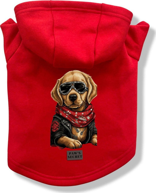 Köpek Kıyafeti Köpek Sweatshirt Hoodie Köpek Ürünleri Kedi Kıyafeti - Yavru Golden XL