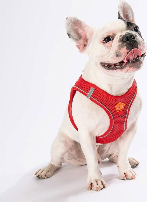Kırmızı Air-mesh Göğüs Tasması Kedi Köpek Göğüs Tasması 2XS
