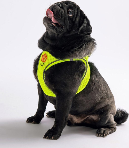 Neon Sarı Air-mesh Göğüs Tasması Kedi Köpek Göğüs Tasması L