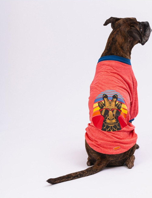 Nar Çiçeği Giraffe Büyük Köpek Sweati - Köpek Kıyafeti 5XL (15 KG-45 KG)