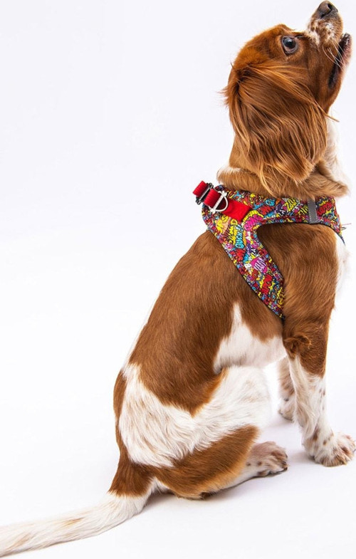 Wow Air-mesh Göğüs Tasması Kedi Köpek Göğüs Tasması 2XSmall