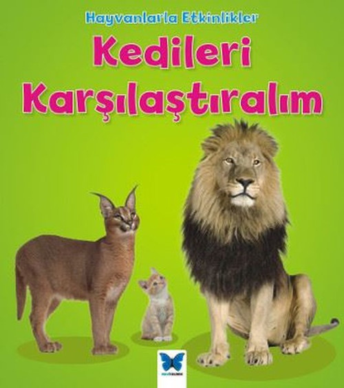 Kedileri Karşılaştıralım-Hayvanlarla Etkinlikler