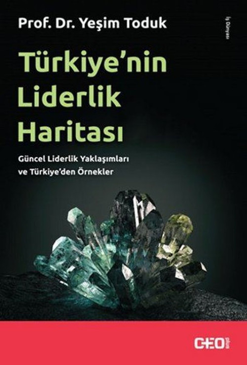 Türkiyenin Liderlik Haritası