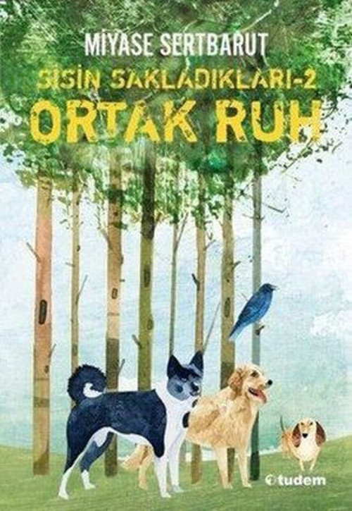 Sisin Sakladıkları - 2 Ortak Ruh - E-Kitap