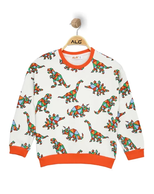 ERKEK ÇOCUK RENKLİ DINOSAUR BASKILI SWEATSHIRT