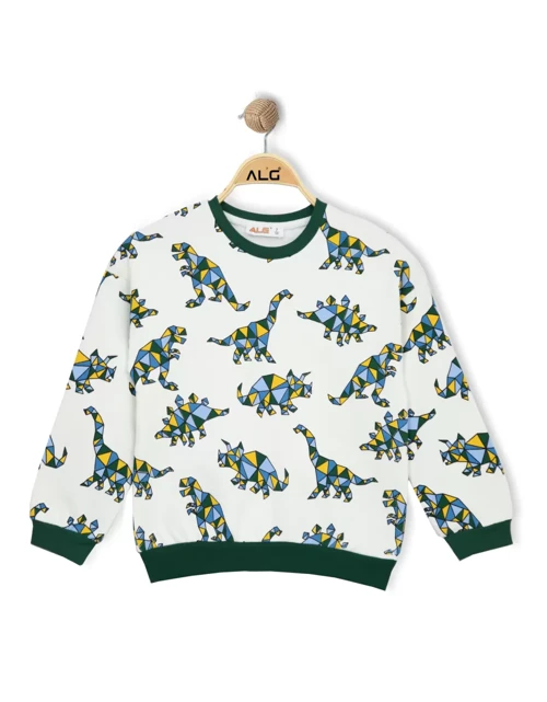ERKEK ÇOCUK RENKLİ DINOSAUR BASKILI SWEATSHIRT