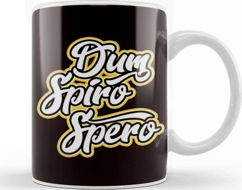 Dum Spiro Spero Education Motivation Language Latin Phrase Kupa Bardak Porselen