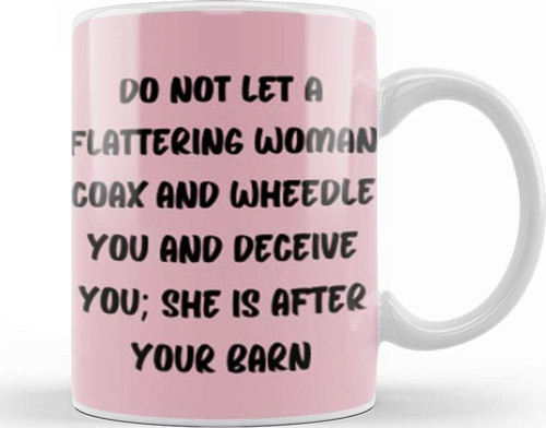 Funny Quotes Gift Comment Sarcasm For And Men Humorous Saying Kupa Bardak Porselen