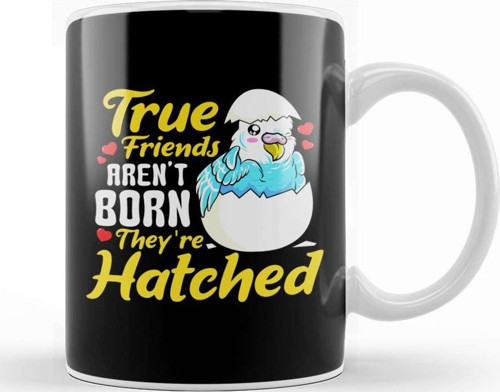 Bird Pun Cute True Friends Aren'T Born They'Re Hatched Kupa Bardak Porselen