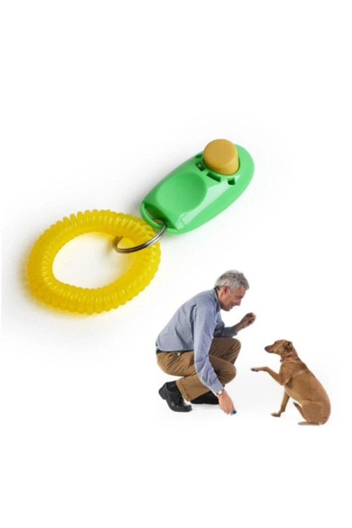Köpek Eğitimi İçin Sesli Onay Cihazı
