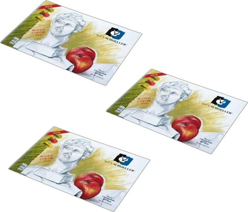 Alex Resim Defteri 50X70 Spr. 120 Gr 20 Yp 3'LÜ