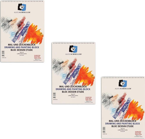 Resim Defteri 25X35 Spiralli 165 Gr 15 Yaprak ALX-107 3'lü