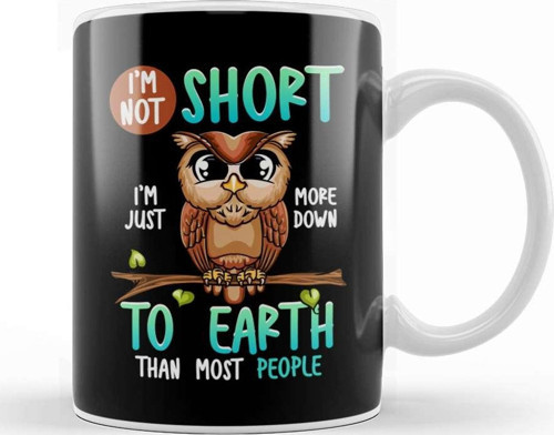 Funny I M Not Short I M Just Down To Earth Owl Pun Kupa Bardak Porselen