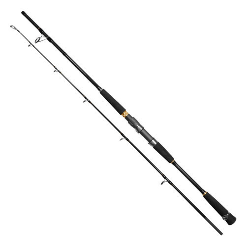Leisure Boat Bbs702M 2,13cm 80-300gr