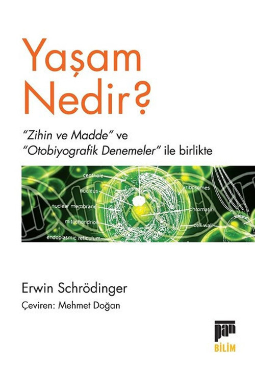 Pan Yayıncılık Yaşam Nedir?