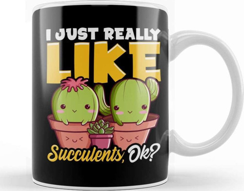 Adorable I Just Really Like Succulents Ok Plant Kupa Bardak Porselen